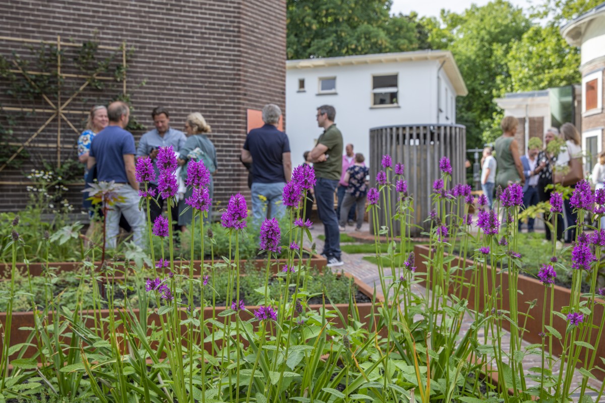 tuin van Sonnenborgh