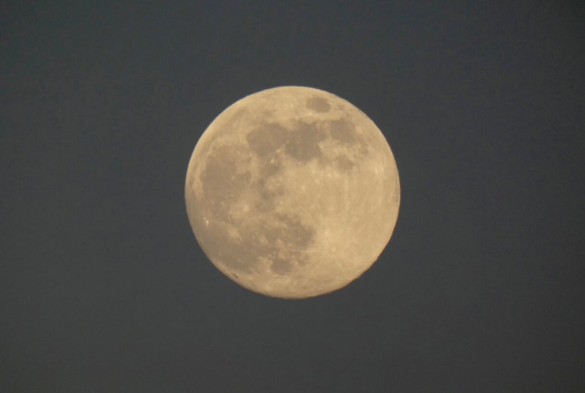 Volle maan