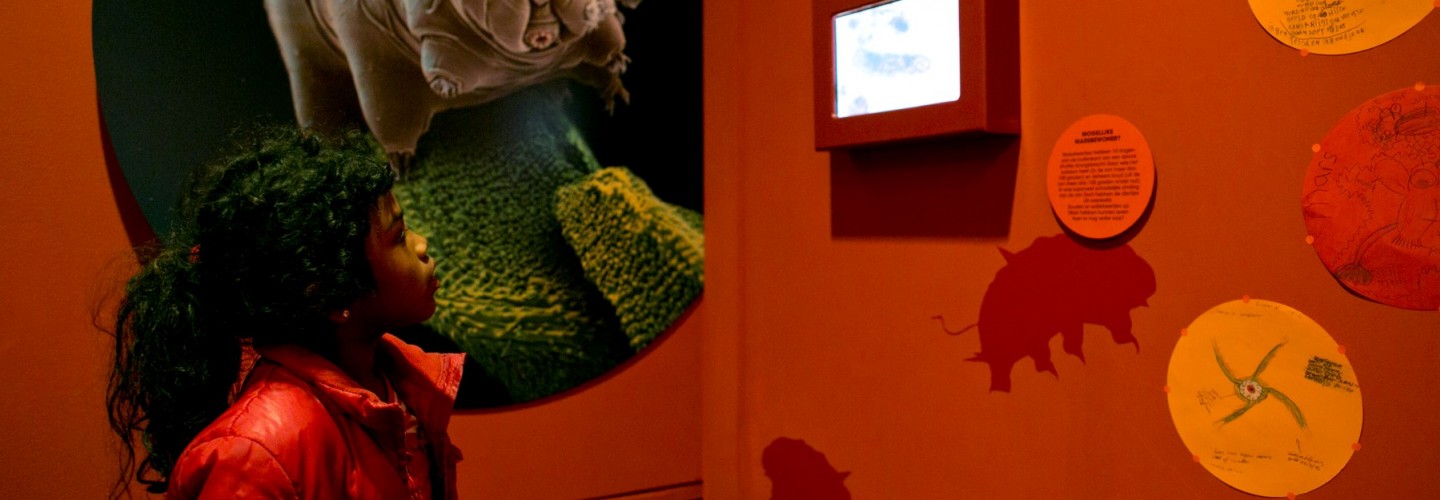 Maak je eigen superdier in de tentoonstelling Spoorzoeken op Mars