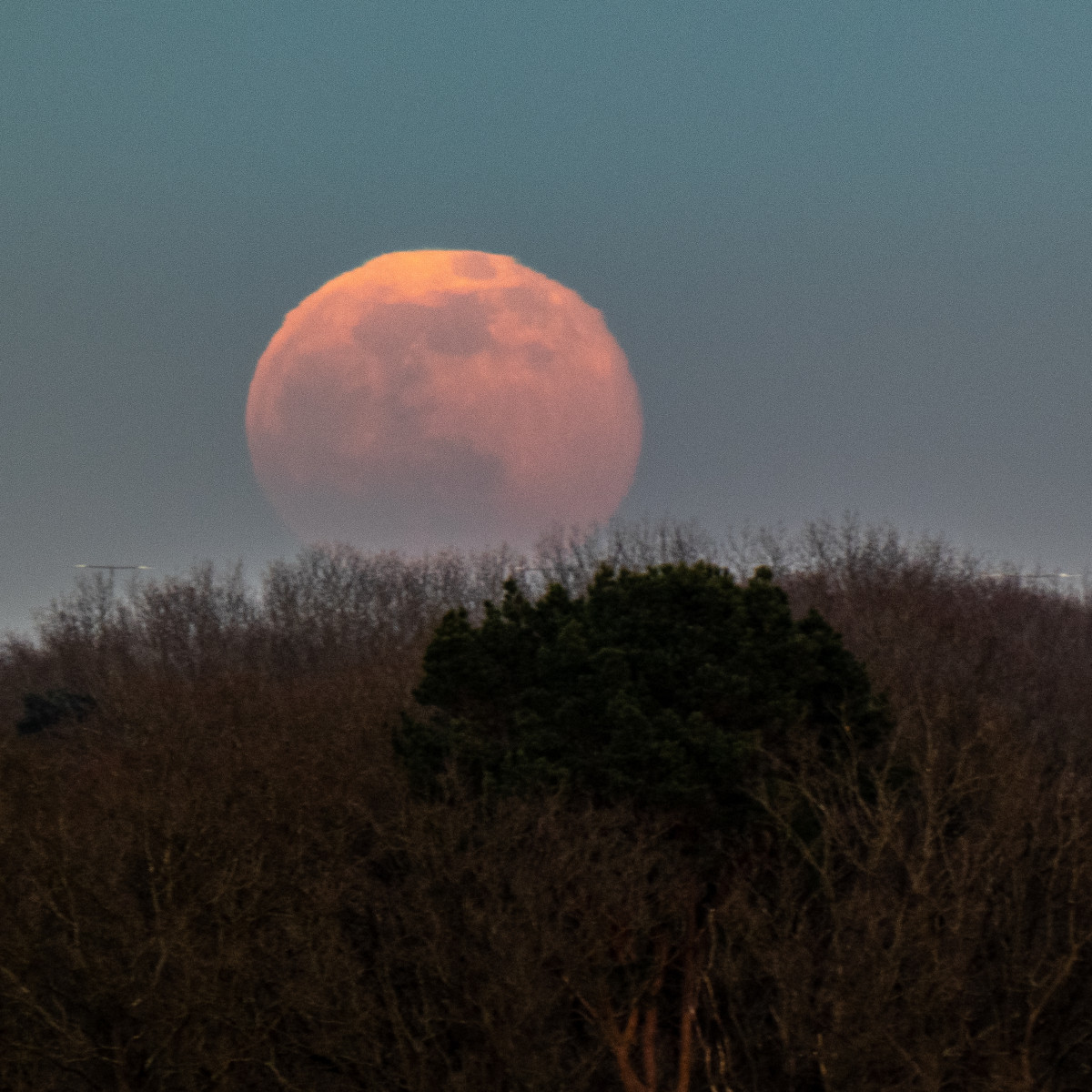 Volle maan
