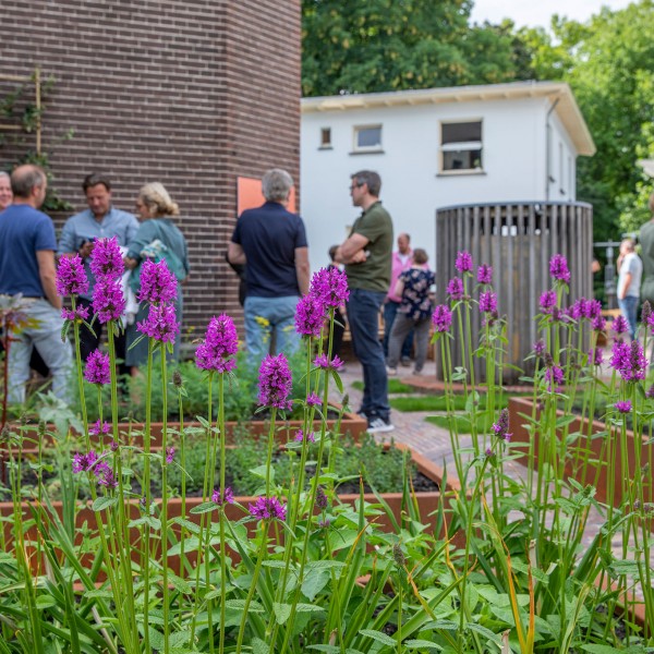 tuin van Sonnenborgh