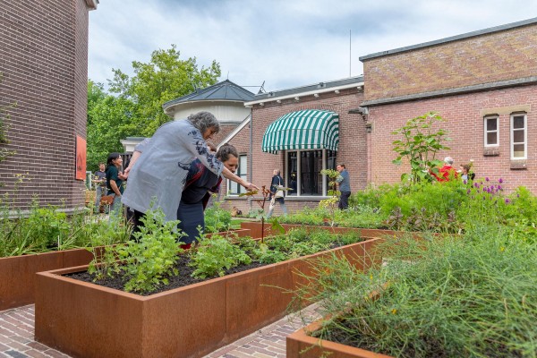 nieuwe tuin Sonnenborgh