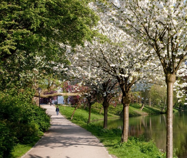 De route naar Sonnenborgh