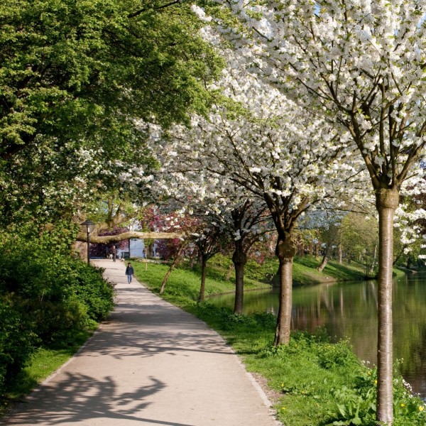 De route naar Sonnenborgh