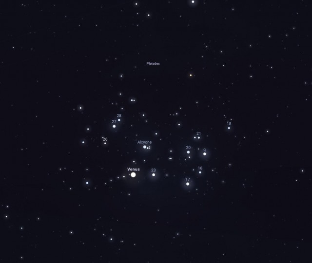 Venus in de Pleiaden