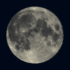 Volle Maan Volle Maan