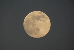 Volle maan